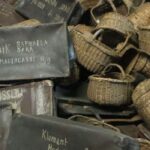 From Warsaw: Shared guided tour to Auschwitz-Birkenau - Why This Tour Is a Solid Choice