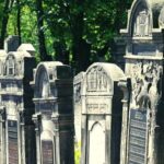 From Warsaw: Small-Group Tour to Lodz with Lunch - Final Thoughts