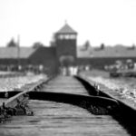 From Wrocaw: Full-Day Auschwitz-Birkenau Guided Tour - What the Reviews Say