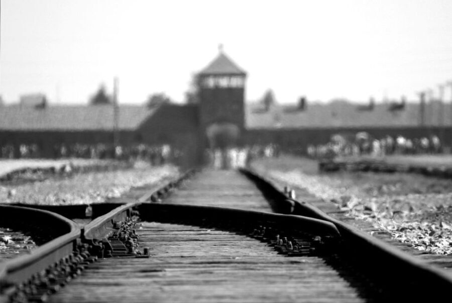 From Wrocaw: Full-Day Auschwitz-Birkenau Guided Tour - What the Reviews Say