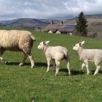 From York: Day Trip to Whitby and The North York Moors - Starting Out from York