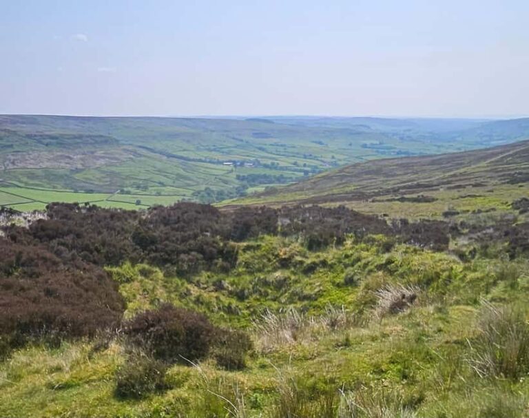 From York: North Yorkshire Moors, Villages & Whitby Day Tour - What Makes This Tour Stand Out?