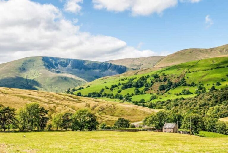 From York: The Yorkshire Dales Small-Group Day Tour - Who Would Love This Tour?