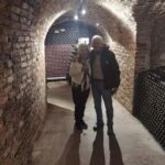 From Zagreb: Castle & Wine Private Day Trip - Immersing Yourself in Croatian Wine Culture