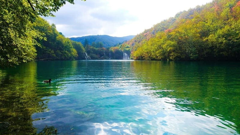 From Zagreb: Plitvice Lakes Guided Day Trip - The Experience: A Deep Dive into the Tour