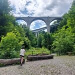 From Zug: Lorze Valley Forest Hike with Guide and Bus - A Closer Look at the Lorze Valley Forest Hike