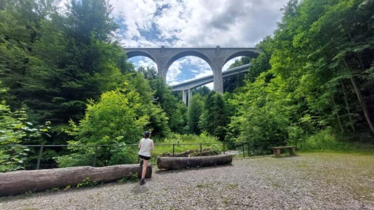 From Zug: Lorze Valley Forest Hike with Guide and Bus - A Closer Look at the Lorze Valley Forest Hike
