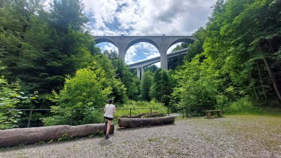 From Zug: Lorze Valley Forest Hike with Guide and Bus - A Closer Look at the Lorze Valley Forest Hike