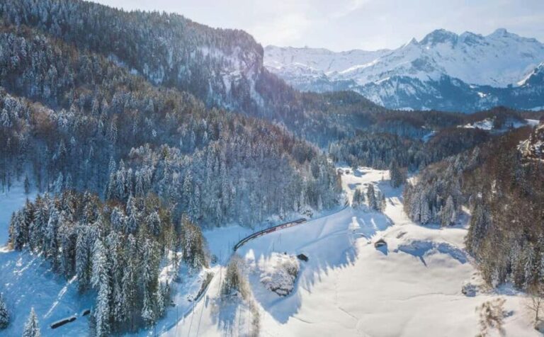 From Zurich: Alpine Scenic Train, Bern UNESCO Town Chocolate - Practical Tips for the Day