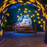 From Zurich: Guided Day Trip to Jungfraujoch with Train Ride - What to Expect in Terms of Value and Experience