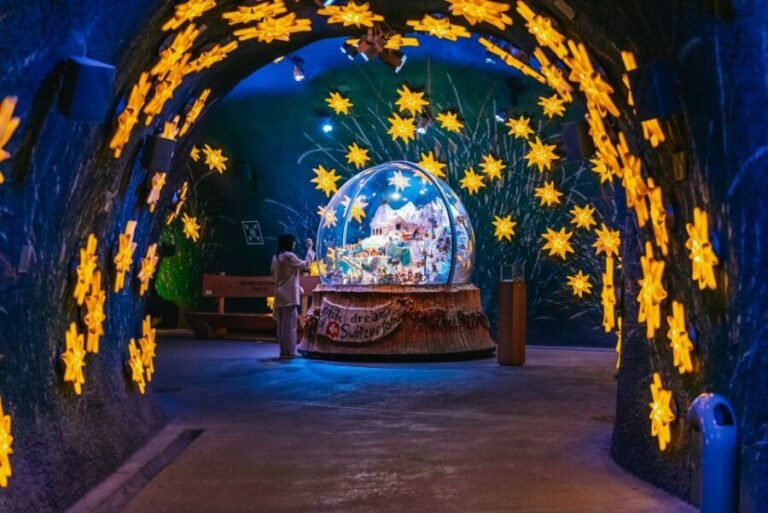 From Zurich: Guided Day Trip to Jungfraujoch with Train Ride - What to Expect in Terms of Value and Experience