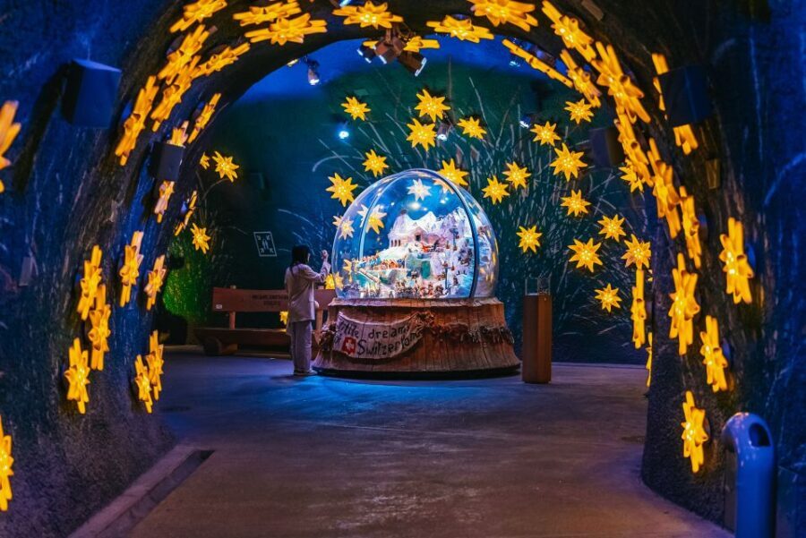 From Zurich: Guided Day Trip to Jungfraujoch with Train Ride - What to Expect in Terms of Value and Experience