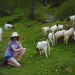 From Zurich: Hidden Swiss Gems Private Day Tour with a Local - How This Tour Stands Out