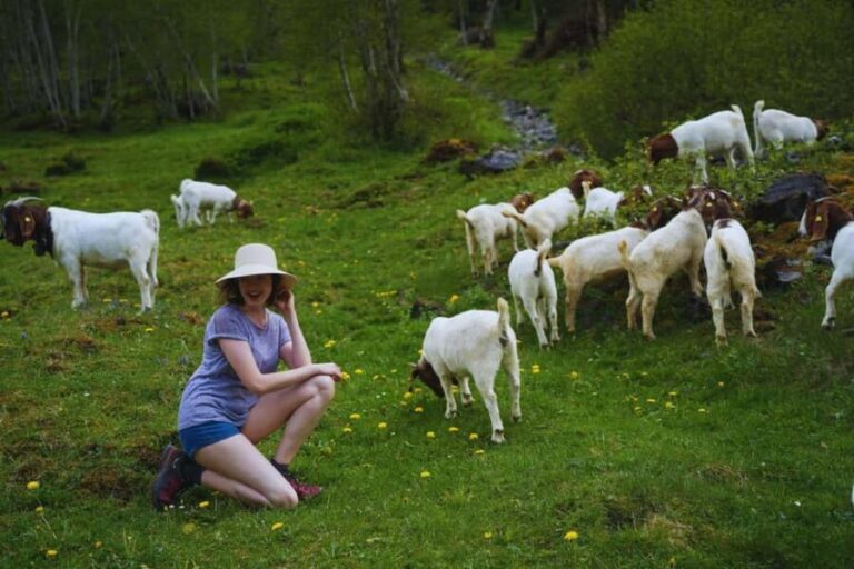 From Zurich: Hidden Swiss Gems Private Day Tour with a Local - How This Tour Stands Out