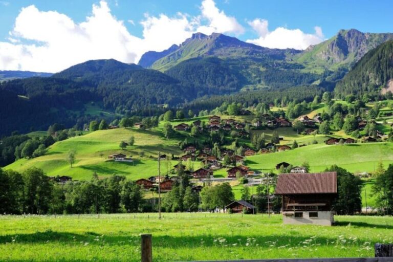 From Zürich: Interlaken and Grindelwald Day Trip by Coach - What Sets This Tour Apart