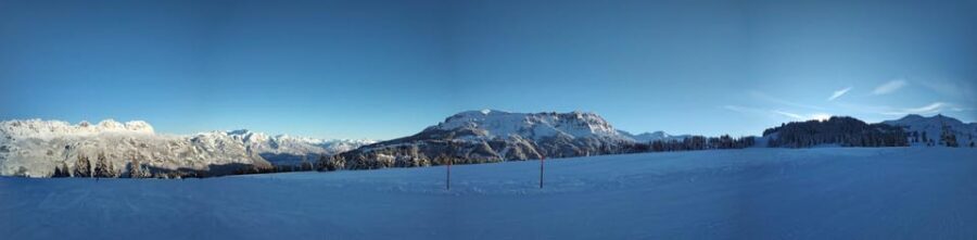 From Zurich main station: 4h ski school for beginners with arrival - Who Will Love This Tour?