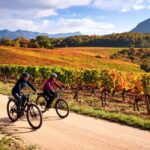 Fronsac: Mountain Bike Tour in the Vineyards & Tasting at La Closerie - A Closer Look at the Experience