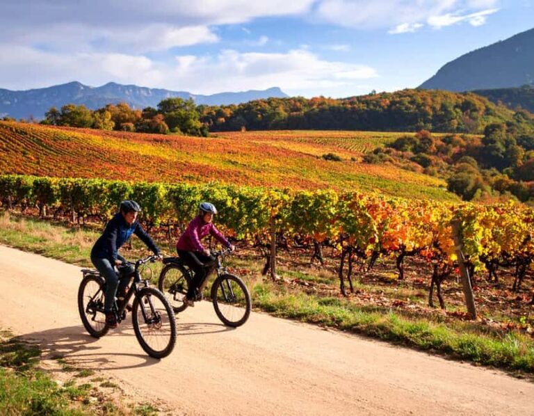 Fronsac: Mountain Bike Tour in the Vineyards & Tasting at La Closerie - A Closer Look at the Experience