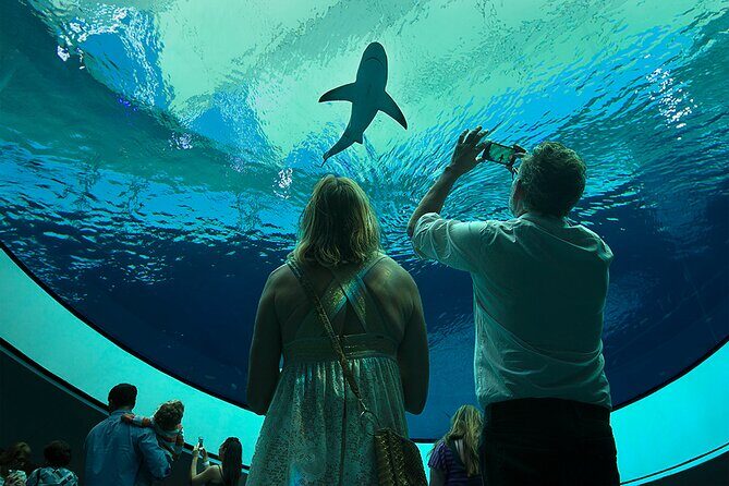 Frost Science Museum Admission Tickets - The Real Guest Feedback