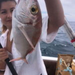 Fuengirola: Bottom Fishing Trip with Drinks & Equipment - What’s Included and What You Should Know
