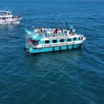 Fuengirola: Catamaran Tour to Spot Dolphins - The Experience and Its Highlights