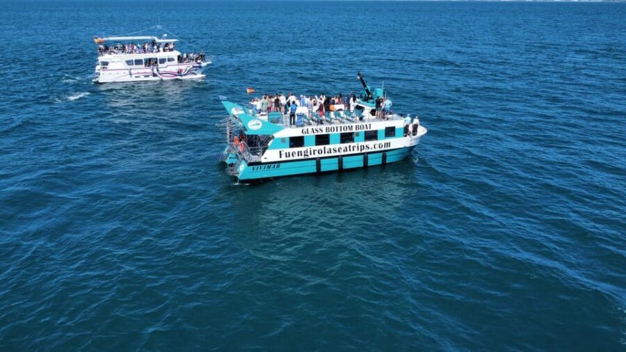 Fuengirola: Catamaran Tour to Spot Dolphins - The Experience and Its Highlights