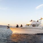 Fuengirola: Dolphin Watching Boat Trip  Fun for All Ages - The Crew and Guide Experience