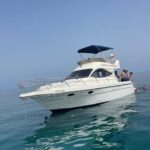 Fuengirola: Dolphin watching on a luxury yacht - Final Thoughts: Is This the Right Tour for You?