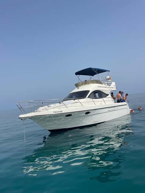Fuengirola: Dolphin watching on a luxury yacht - Final Thoughts: Is This the Right Tour for You?
