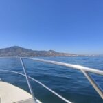 Fuengirola: Fantastic Dolphin Watching Yacht Tour with Drink - The Experience in Detail
