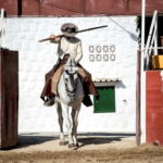 Fuengirola: Spanish Horse Show with Optional Dinner/Flamenco - The Gourmet Paella Dinner