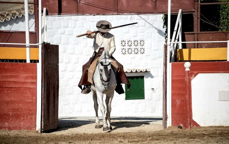 Fuengirola: Spanish Horse Show with Optional Dinner/Flamenco - The Gourmet Paella Dinner