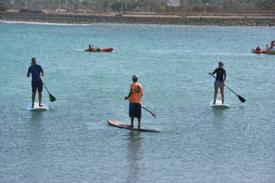 Fuerteventura: 1.5-Hour SUP Course - Caleta de Fuste - What to Expect from the SUP Course