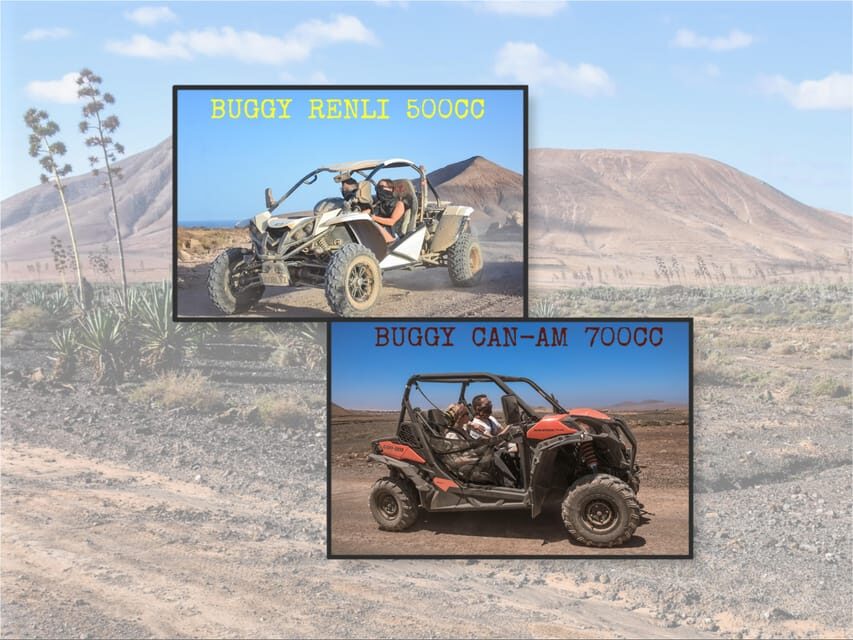 Fuerteventura: Dune Buggy Tour in Northern Fuerteventura - What to Expect: A Detailed Breakdown