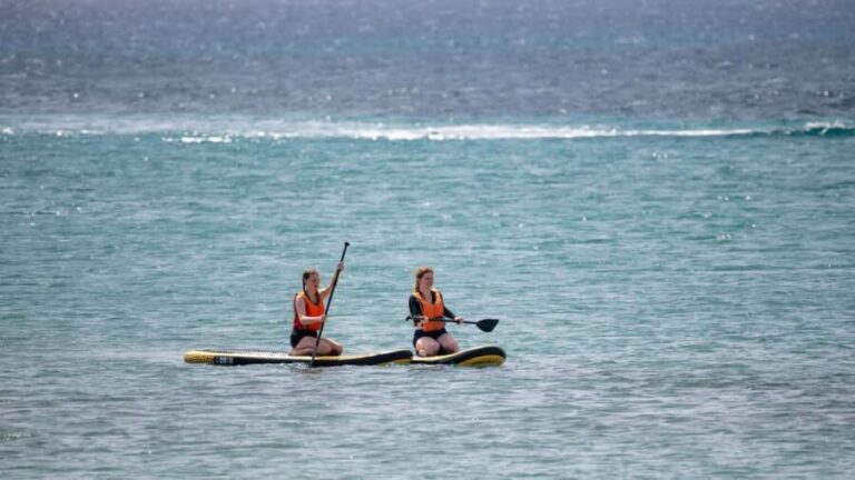 Fuerteventura: Explore Costa Calma Bay on a SUP Board! - What to Expect on the Water