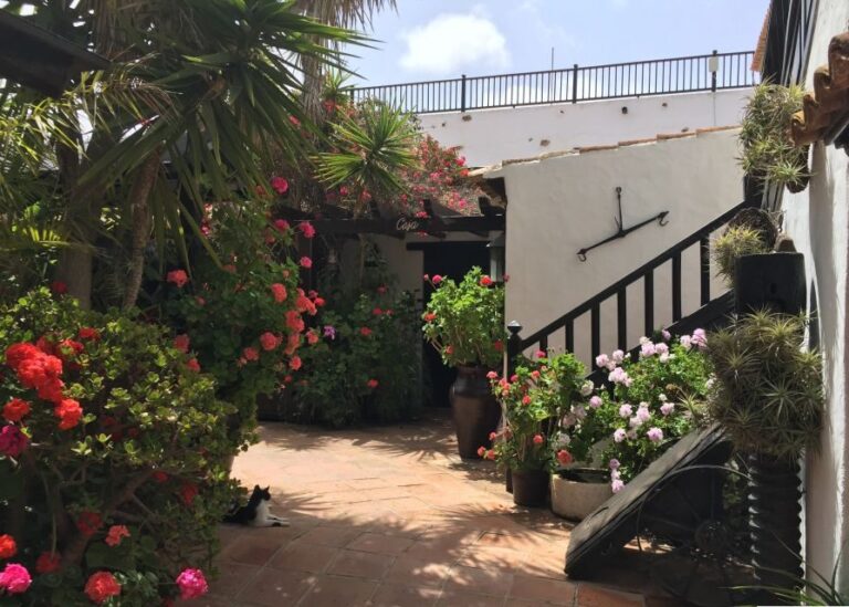 Fuerteventura: Full Day Tour with Lunch - Transportation and Guide Quality