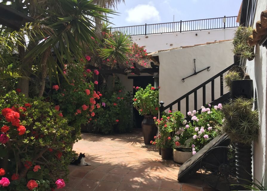 Fuerteventura: Full Day Tour with Lunch - Transportation and Guide Quality