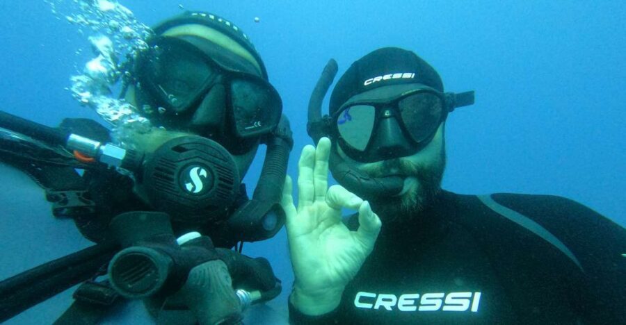 Fuerteventura: Introductory Dive in La Lajita with Pickup - What’s Included and What You Should Expect