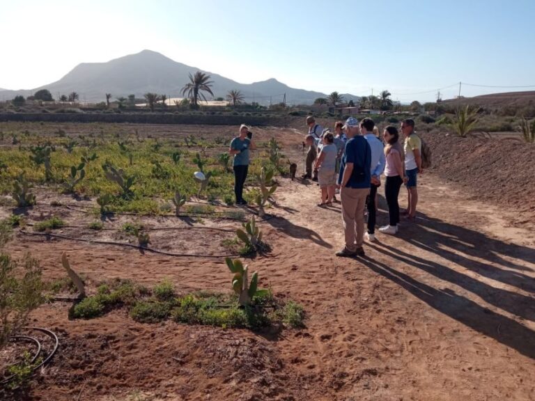 Fuerteventura: Tapas and Local Life Guided Tour - The Experience from Travelers’ Perspectives