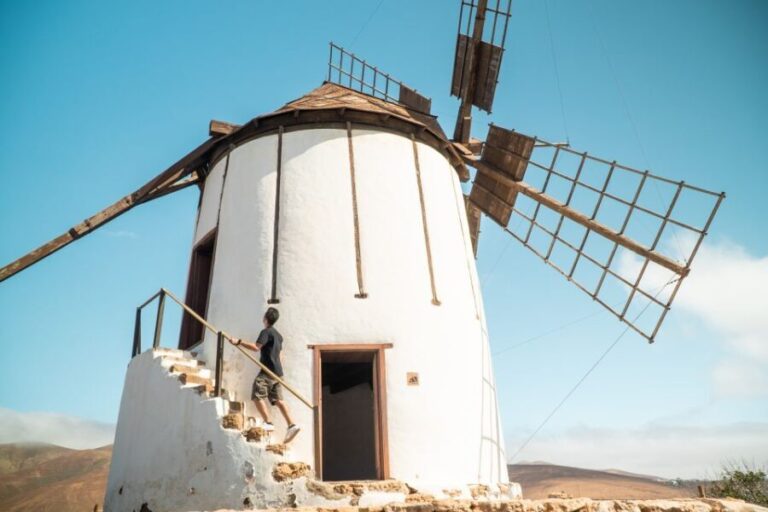 Fuerteventura: Tickets to Salt, Cheese and Windmill Museums - Who Is This Tour Best For?