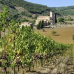 Full-Day 2 Wineries Tour in Montepulciano with Tasting and Lunch - Key Points