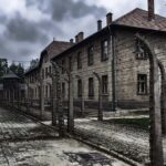 Full-Day Auschwitz-Birkenau and Salt Mine from Krakow - The Salt Mine: A Natural Wonder
