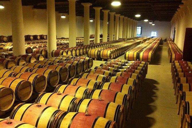 Full day Bordeaux Historic Gourmet Walking and Médoc Tour - Who Should Consider This Tour?