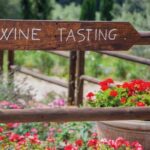 Full-Day Chianti Tour by Vespa Scooter from San Gimignano - Final Thoughts: Who’s This Tour For?