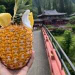 Full-Day Circle Island Guided Tour of Oahu - Frequently Asked Questions (FAQs)