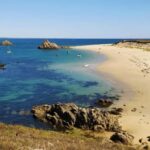 Full-day cruise with stopover on the island of Houat - The Full-Day Experience: What to Expect