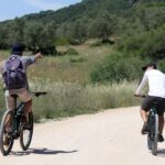 Full-Day Electric Bike Tour: Arrábida Nature Park - Practical Tips for Your Day Out