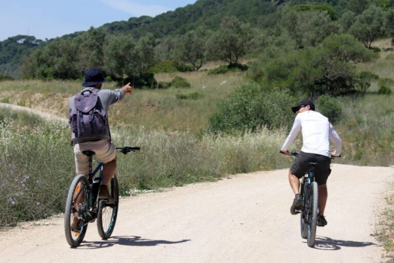 Full-Day Electric Bike Tour: Arrábida Nature Park - Practical Tips for Your Day Out