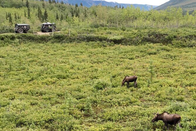 Full Day: Fairbanks to Denali Winter Adventure & SHERP Tour - The Itinerary: What to Expect