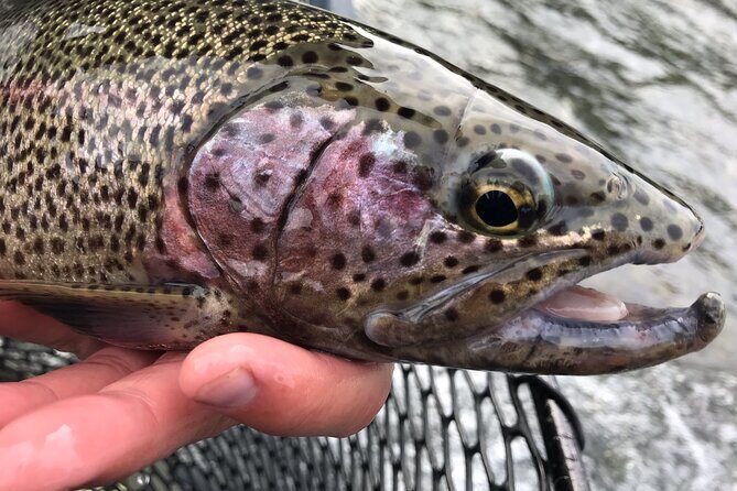 Full day fishing trips - The Itinerary: What to Expect